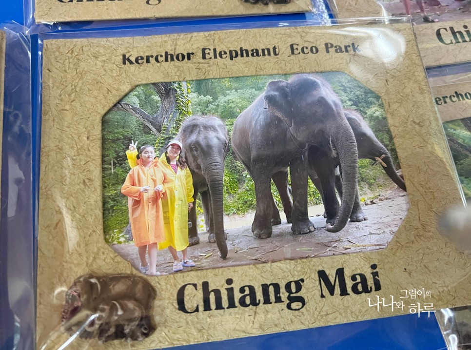 아이와 치앙마이 여행 코끼리 에코파크 투어 먹이주고, 산책하고, 목욕시키기