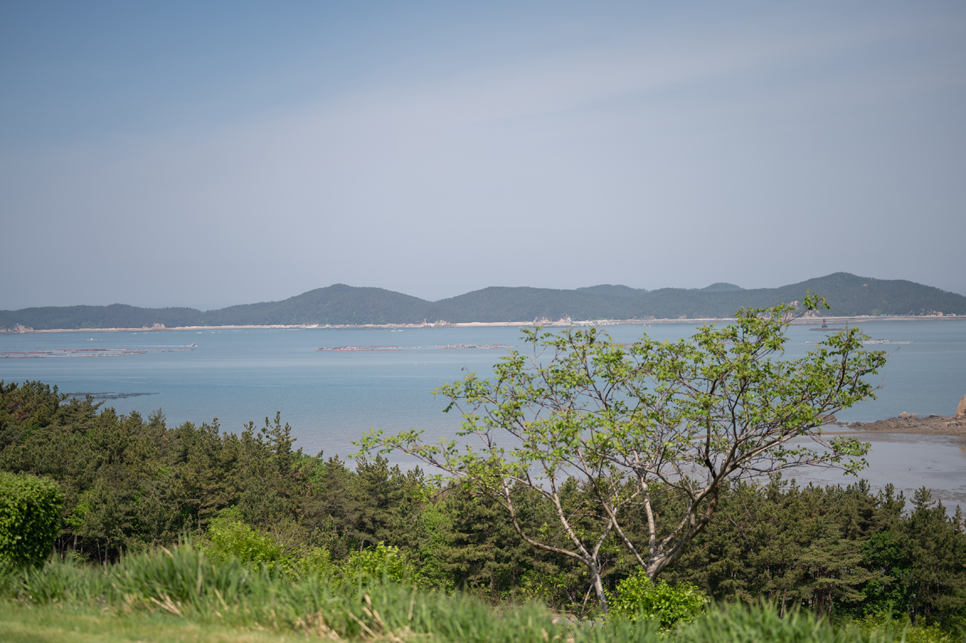 골든베이cc, 1박2일 태안 골프여행! 바다가 보이는 골프장