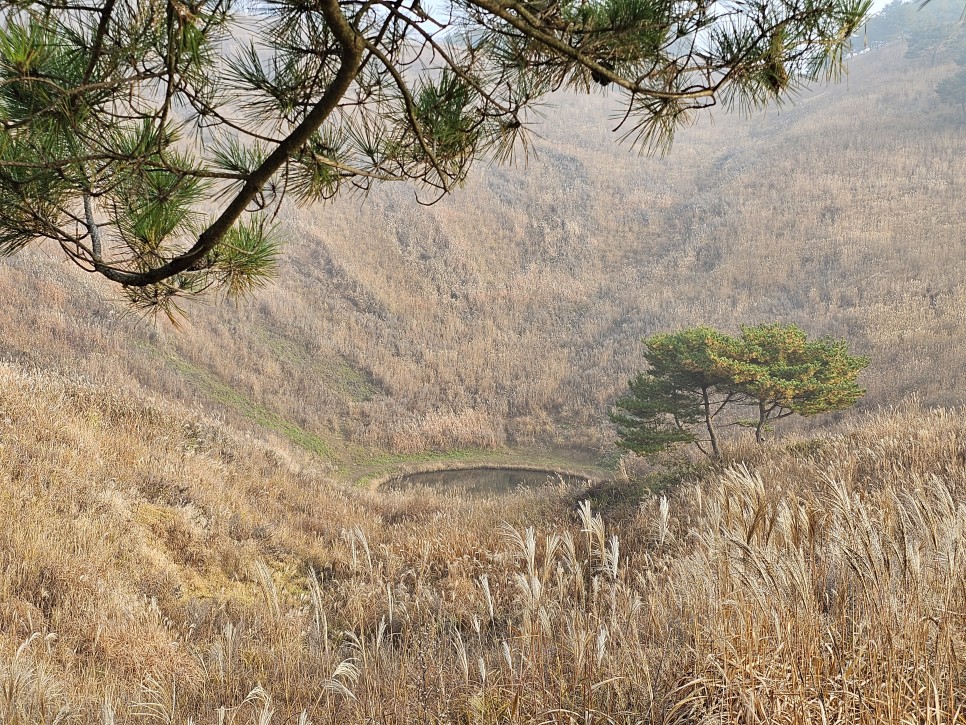 민둥산 최단 등산 가을 산행 3km 걷기 후기 초보 등산 코스 추천