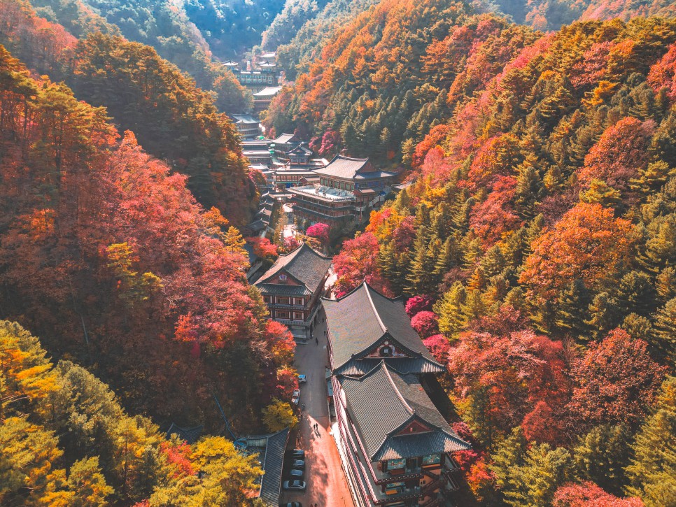 충북 여행, 가을바람 만끽하며 드라이브 떠나기 좋은 단양 여행 :: 구인사, 보발재, 온달드라마세트장, 온달산성, 단양 드라이브, 단양 단풍 명소, 보발재 단풍, 구인사 단풍