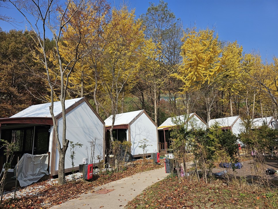 단풍 CAMPING 국립공원 캠핑장 소백산 삼가야영장