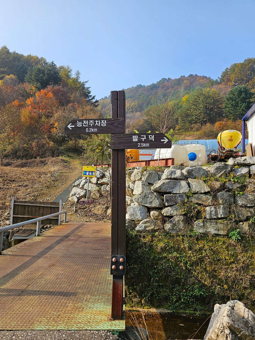 민둥산 최단 등산 가을 산행 3km 걷기 후기 초보 등산 코스 추천
