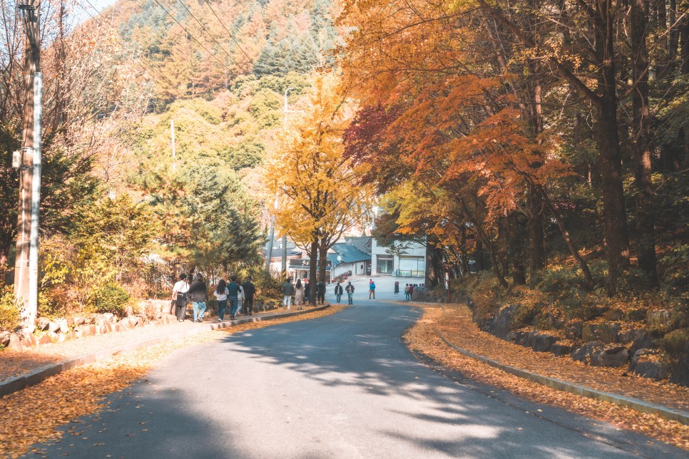 충북 여행, 가을바람 만끽하며 드라이브 떠나기 좋은 단양 여행 :: 구인사, 보발재, 온달드라마세트장, 온달산성, 단양 드라이브, 단양 단풍 명소, 보발재 단풍, 구인사 단풍