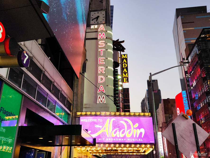미국 뉴욕여행 브로드웨이 뮤지컬 알라딘 관람 후기 라이언킹 예약 가격 정보