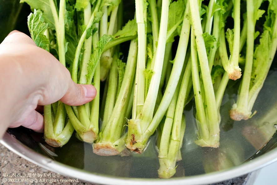 갓김치 담그는법 맛있게 알토란 갓김치 담그기 담는법 청갓김치 양념