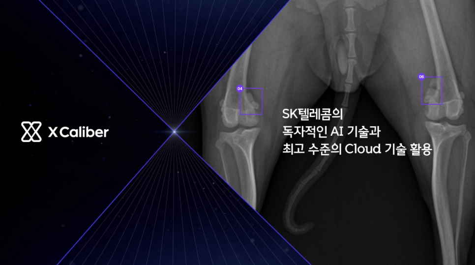 SK텔레콤의 혁신적인 AI 기술 X Caliber 반려동물을 넘어 인류에도 긍정적인 영향을 끼칠 수 있을 듯