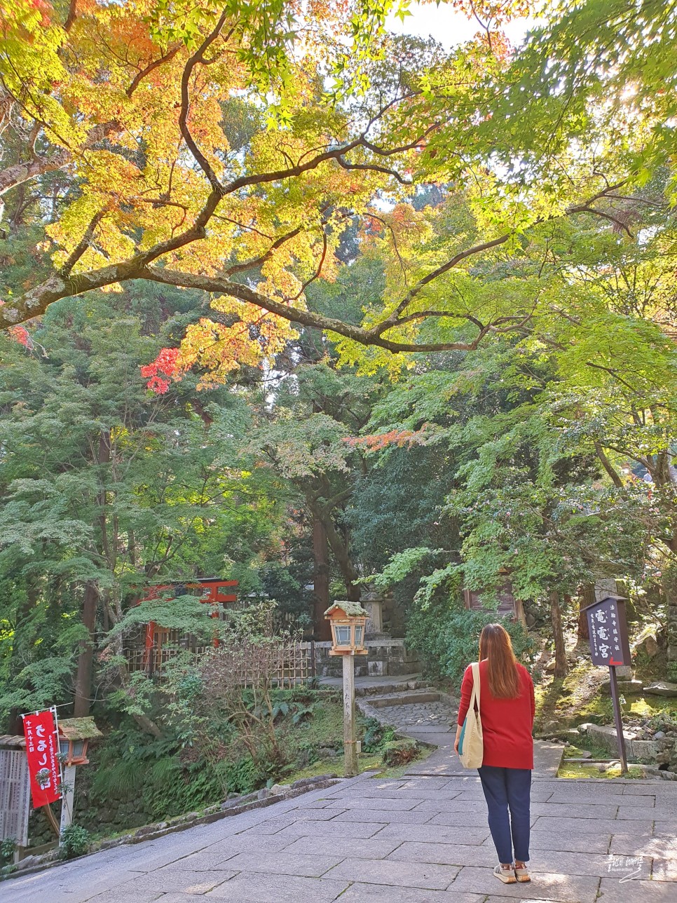 일본 가을 교토 단풍여행 가볼만한곳 기요미즈데라 고다이지 난젠지 아라시야마