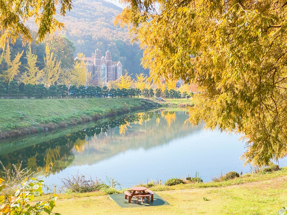 용인 가볼만한곳 단풍 명소 한국외국어대학교 산책로 데이트 코스