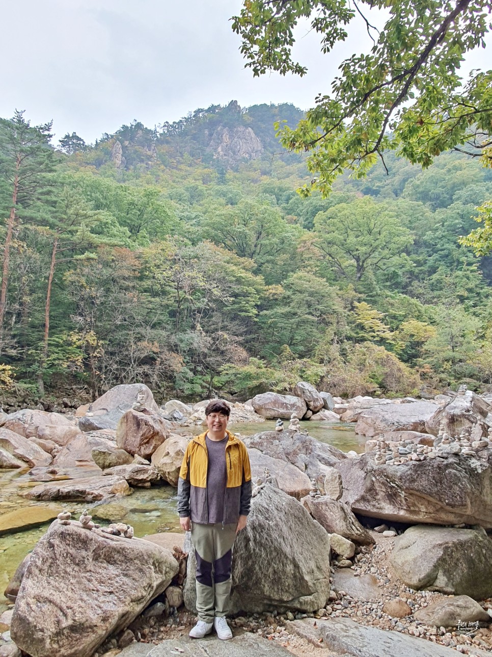 실시간 설악산 단풍 권금성 케이블카 비선대