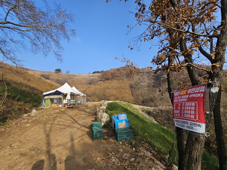 민둥산 최단 등산 가을 산행 3km 걷기 후기 초보 등산 코스 추천