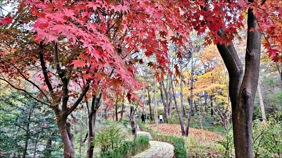 경기 광주 가볼만한곳 남한산성 순교성지 단풍으로 물든 가을 소경!