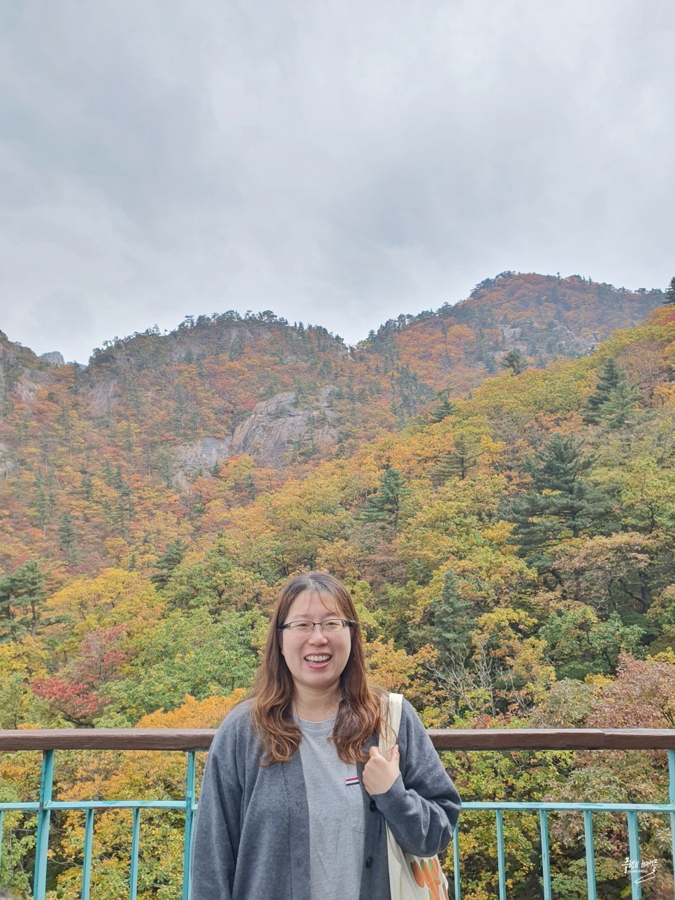 실시간 설악산 단풍 권금성 케이블카 비선대