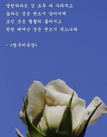 과천애문화, 오늘의 사자성어, 제행무상 [諸行無常]