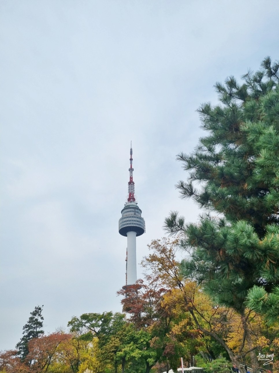 11월 여행지 서울 가을 나들이 단풍 명소 가볼만한곳 남산 둘레길