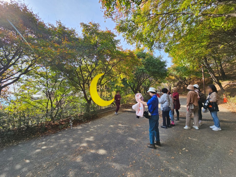 청주 근교 단풍 명소 천안 독립기념관 단풍나무숲길 올해는 실망이야!