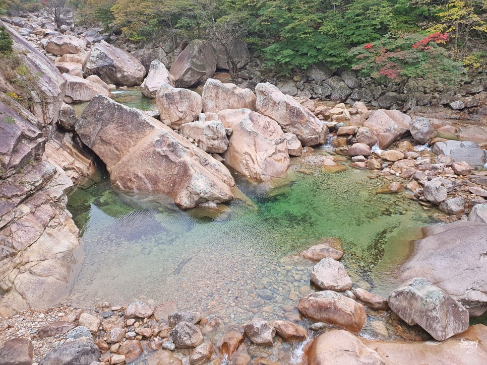 실시간 설악산 단풍 권금성 케이블카 비선대