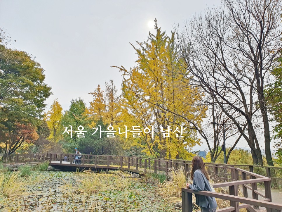 11월 여행지 서울 가을 나들이 단풍 명소 가볼만한곳 남산 둘레길