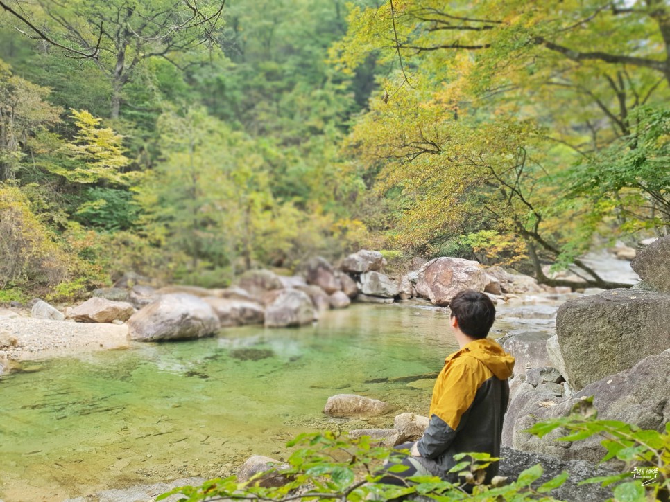 실시간 설악산 단풍 권금성 케이블카 비선대