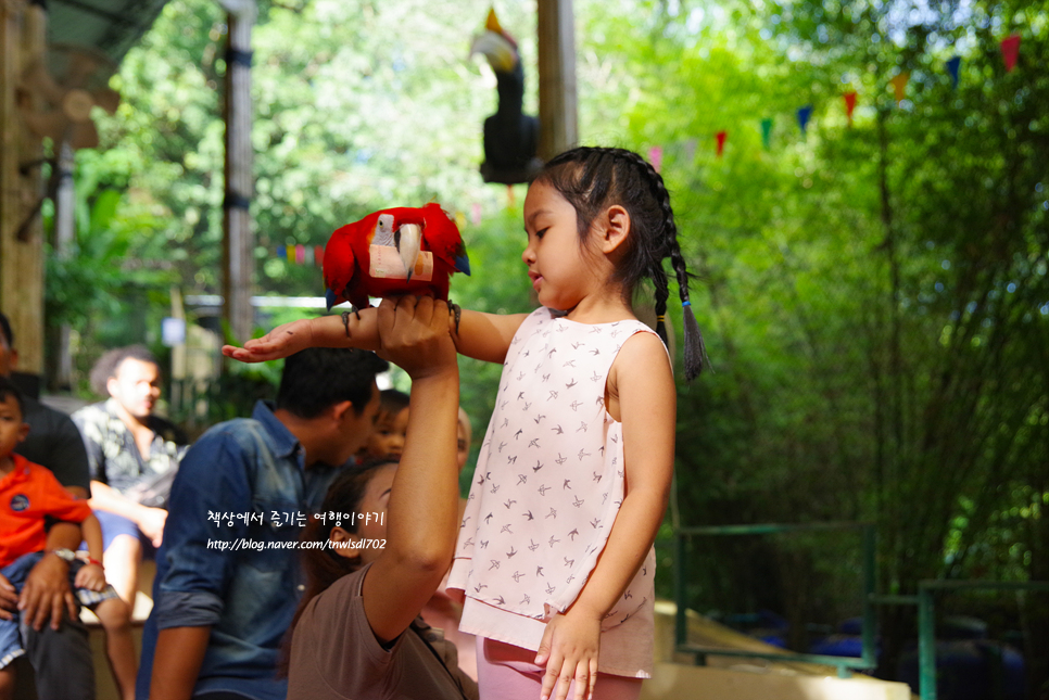 태국 여행지 푸켓 자유여행 아이와 가볼만한곳 푸켓 버드파크