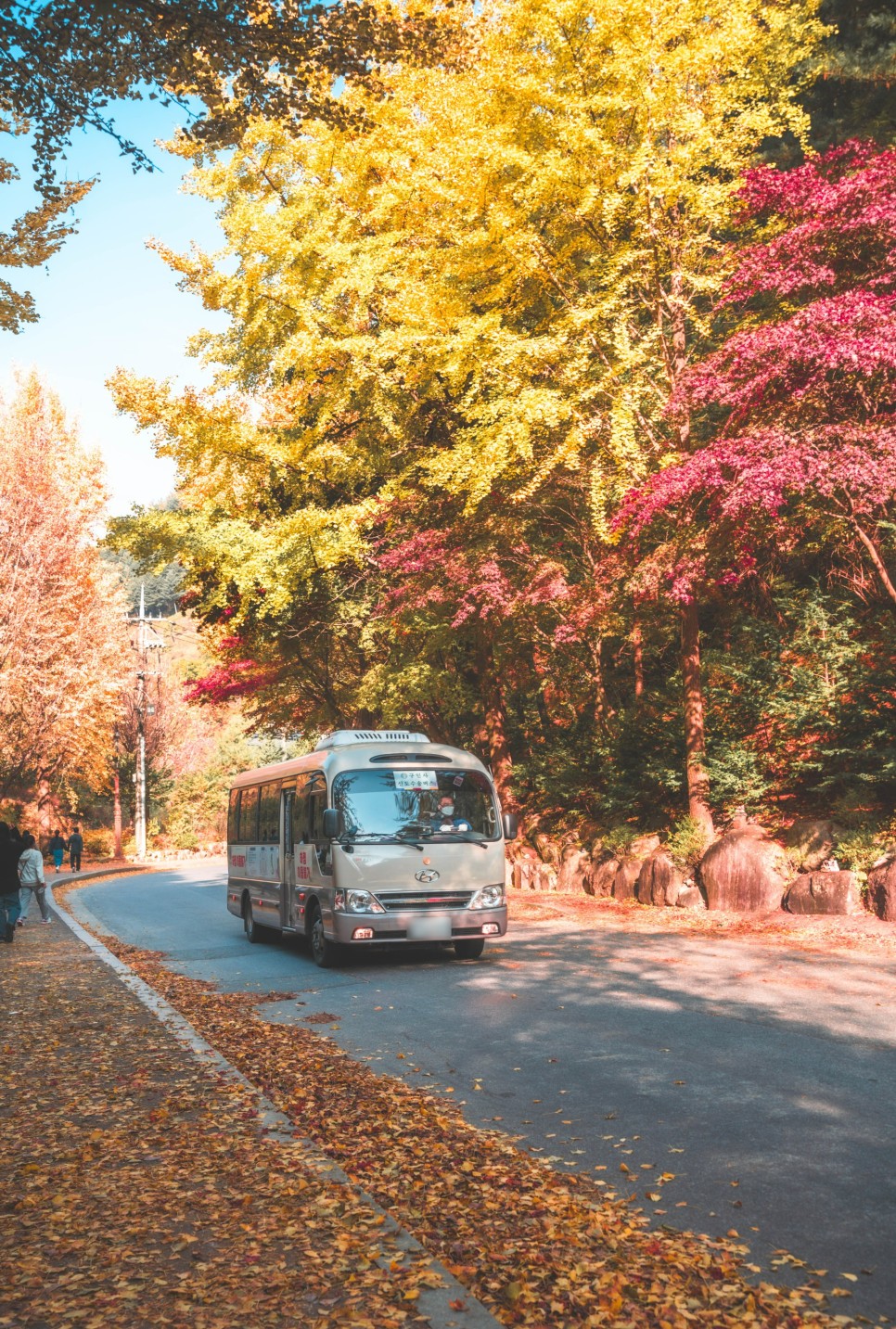 충북 여행, 가을바람 만끽하며 드라이브 떠나기 좋은 단양 여행 :: 구인사, 보발재, 온달드라마세트장, 온달산성, 단양 드라이브, 단양 단풍 명소, 보발재 단풍, 구인사 단풍