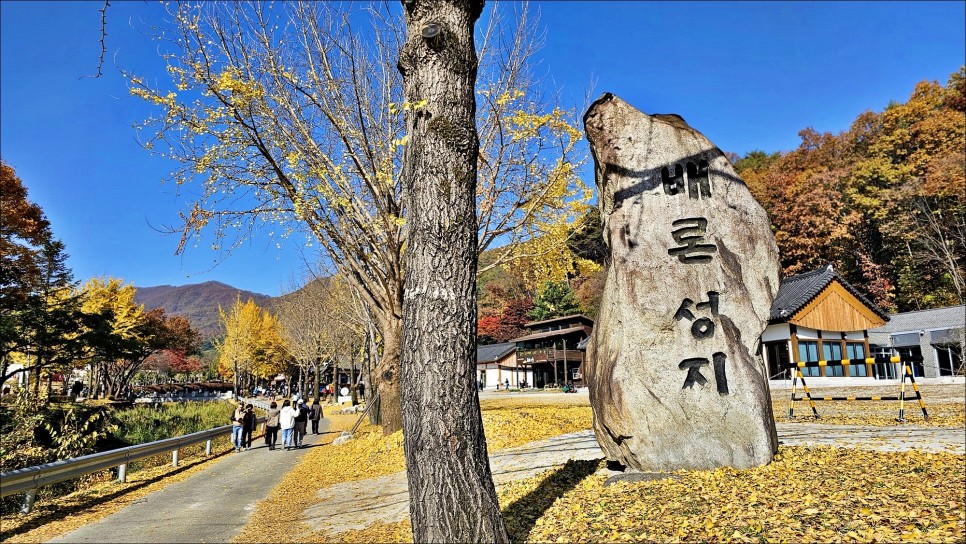 가을 명소 충북 제천 가볼만한곳 배론성지 단풍 구경 제천여행코스 추천!