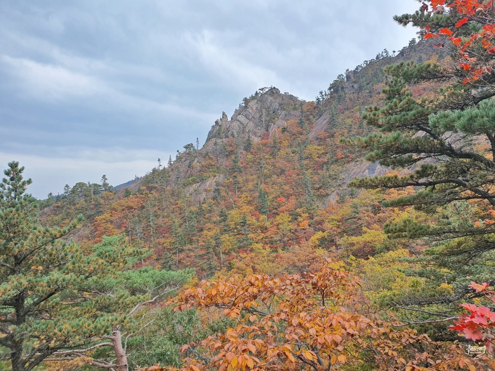가을 단풍 명소 설악산 단풍 구경 여행 드라이브 코스
