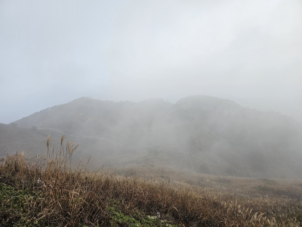 민둥산 최단 등산 가을 산행 3km 걷기 후기 초보 등산 코스 추천