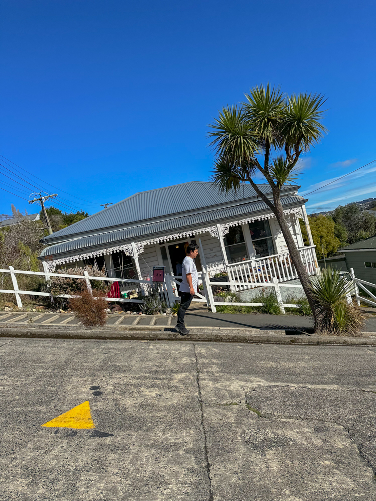 Day 6. 뉴질랜드 남섬여행 더니든 볼드윈스트리트 터널비치