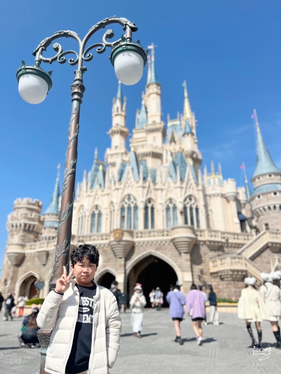 일본 도쿄 디즈니랜드 입장권 티켓 예약 놀이기구 프리미어 액세스 스플래쉬 마운틴 후기