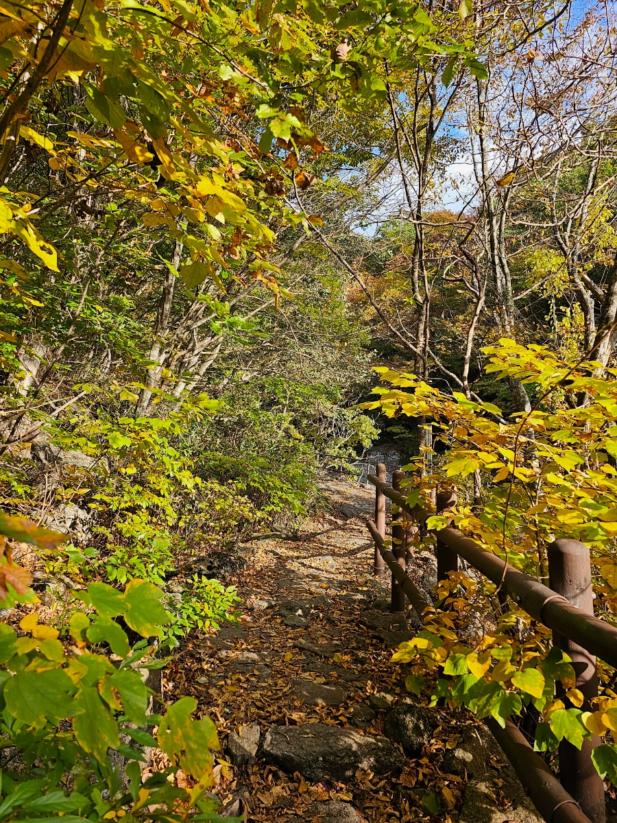 지리산 백무동계곡 탐방지원센터~가내소폭포 가을 초보 등산 코스 3km 걷기 후기(함양)