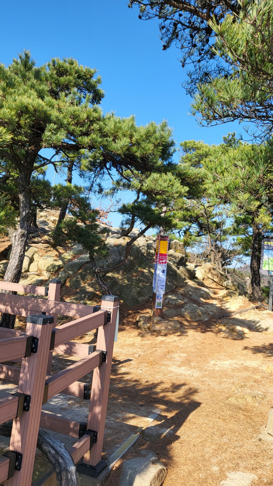 과천애문화,관악산 국기봉 가는길 과천 시민회관 쪽에서  둘레길처럼 편한 곳