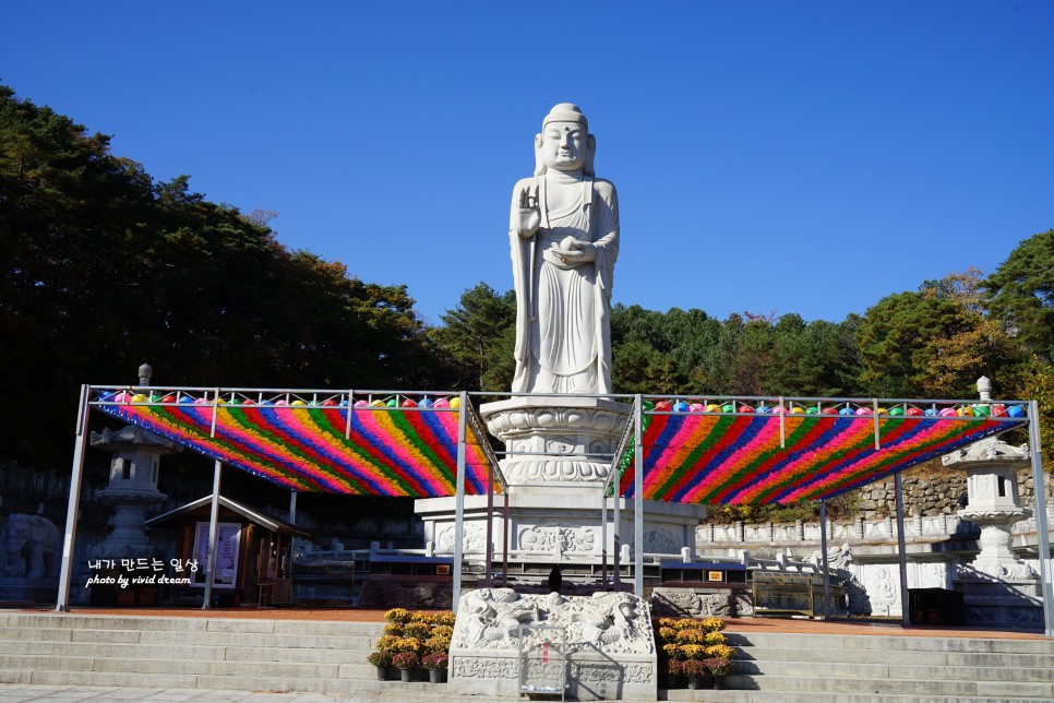 대구단풍 보러 가볼만한곳 팔공산 대구절 동화사 나들이