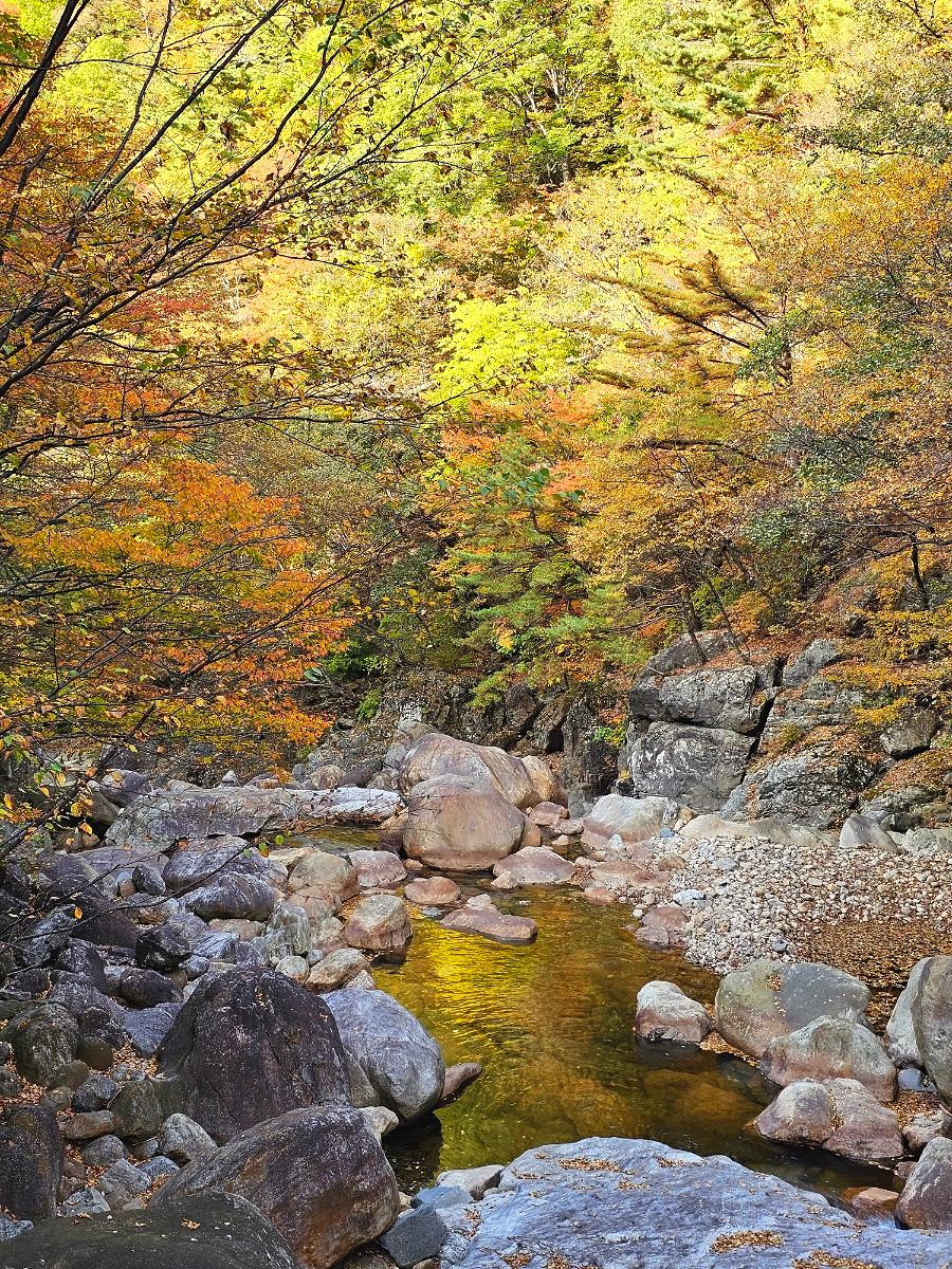 지리산 백무동계곡 탐방지원센터~가내소폭포 가을 초보 등산 코스 3km 걷기 후기(함양)