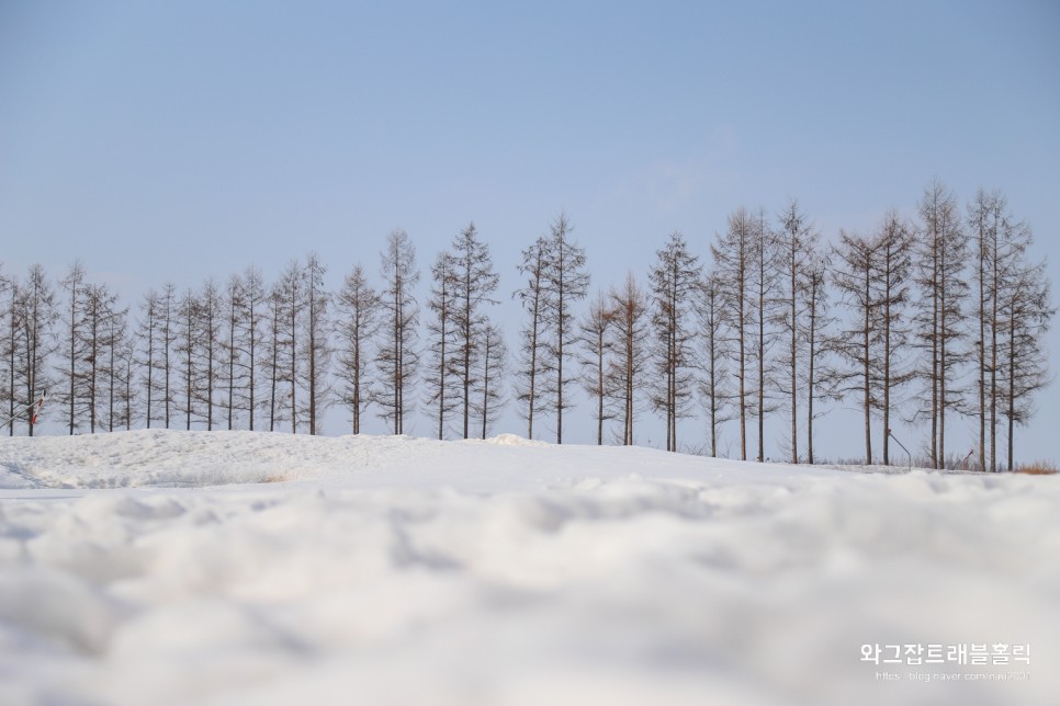 홋카이도 여행 코스 삿포로 하코다테 오비히로 겨울 추천 비행기표 가격