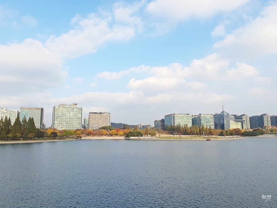 경기도 가을여행지 단풍명소 일산호수공원 메타세콰이어길