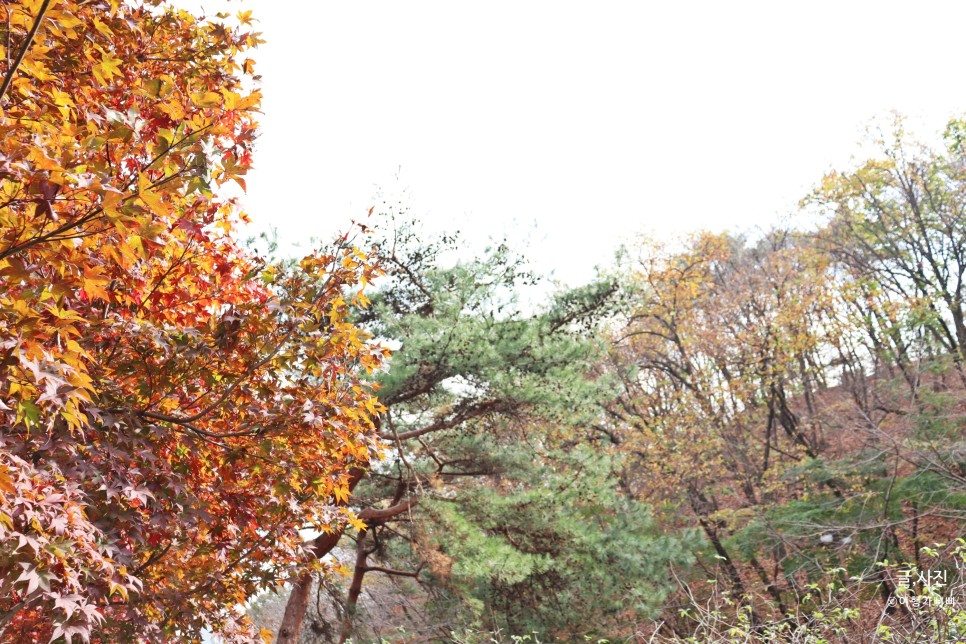 도봉동 맛집 산아래주막  연탄불고기 대박구성 푸짐그자체