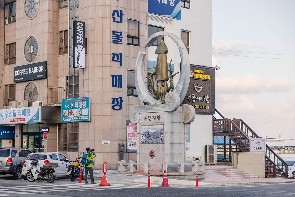 강릉 바다 아들바위 보고, 주문진 킹크랩 맛집 가격 좋은 대영유통 먹방까지 :)