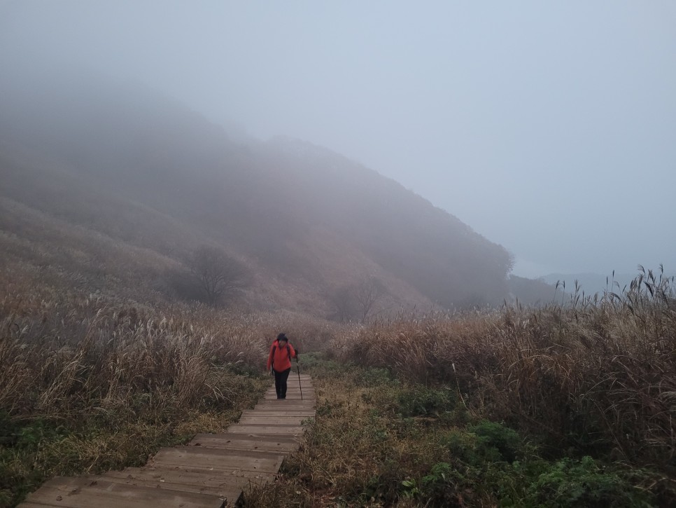 민둥산 최단 등산 가을 산행 3km 걷기 후기 초보 등산 코스 추천