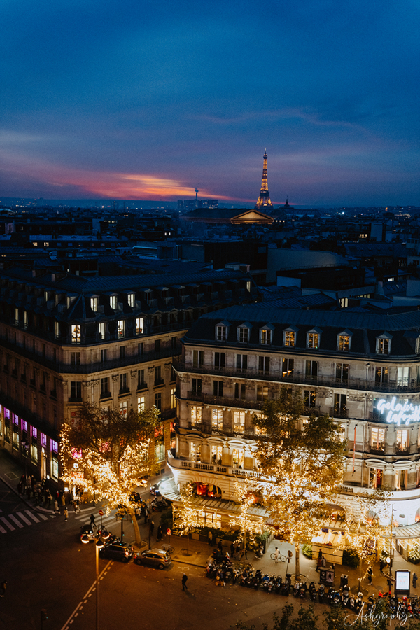[파리] 12월 라파예트+봉막쉐 화려한 백화점 풍경
