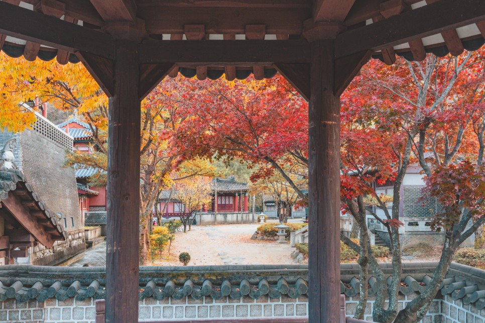 충북 여행, 가을바람 만끽하며 드라이브 떠나기 좋은 단양 여행 :: 구인사, 보발재, 온달드라마세트장, 온달산성, 단양 드라이브, 단양 단풍 명소, 보발재 단풍, 구인사 단풍