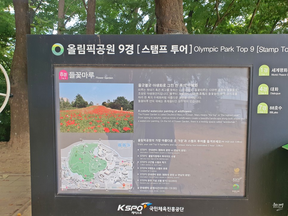 10월 가을 꽃구경 가볼만한곳 서울 올림픽공원 들꽃마루 코스모스 장미광장