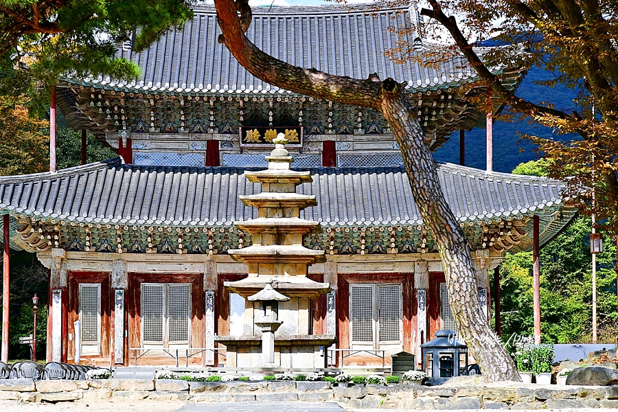 부여 가볼만한곳 부여 무량사 부소산성 궁남지 국립부여박물관