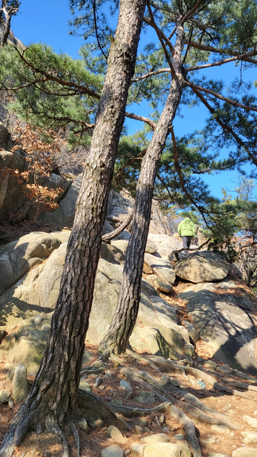 과천애문화,관악산 국기봉 가는길 과천 시민회관 쪽에서  둘레길처럼 편한 곳