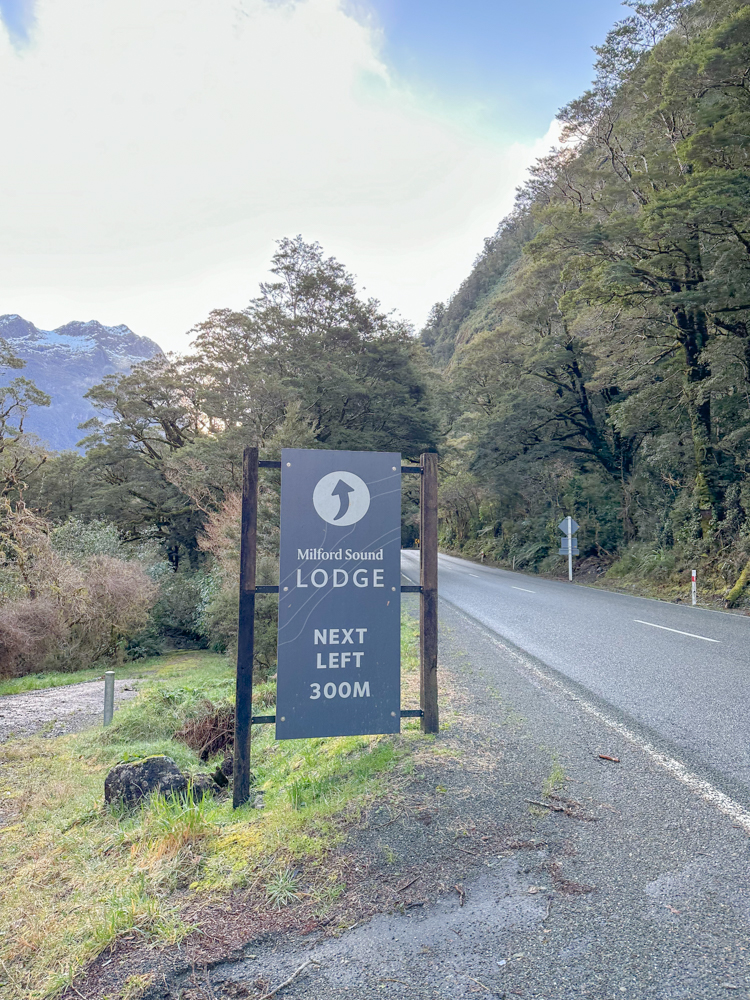 Day 7. 뉴질랜드 렌트카 여행 미러레이크 호머터널 밀포드사운드 크루즈