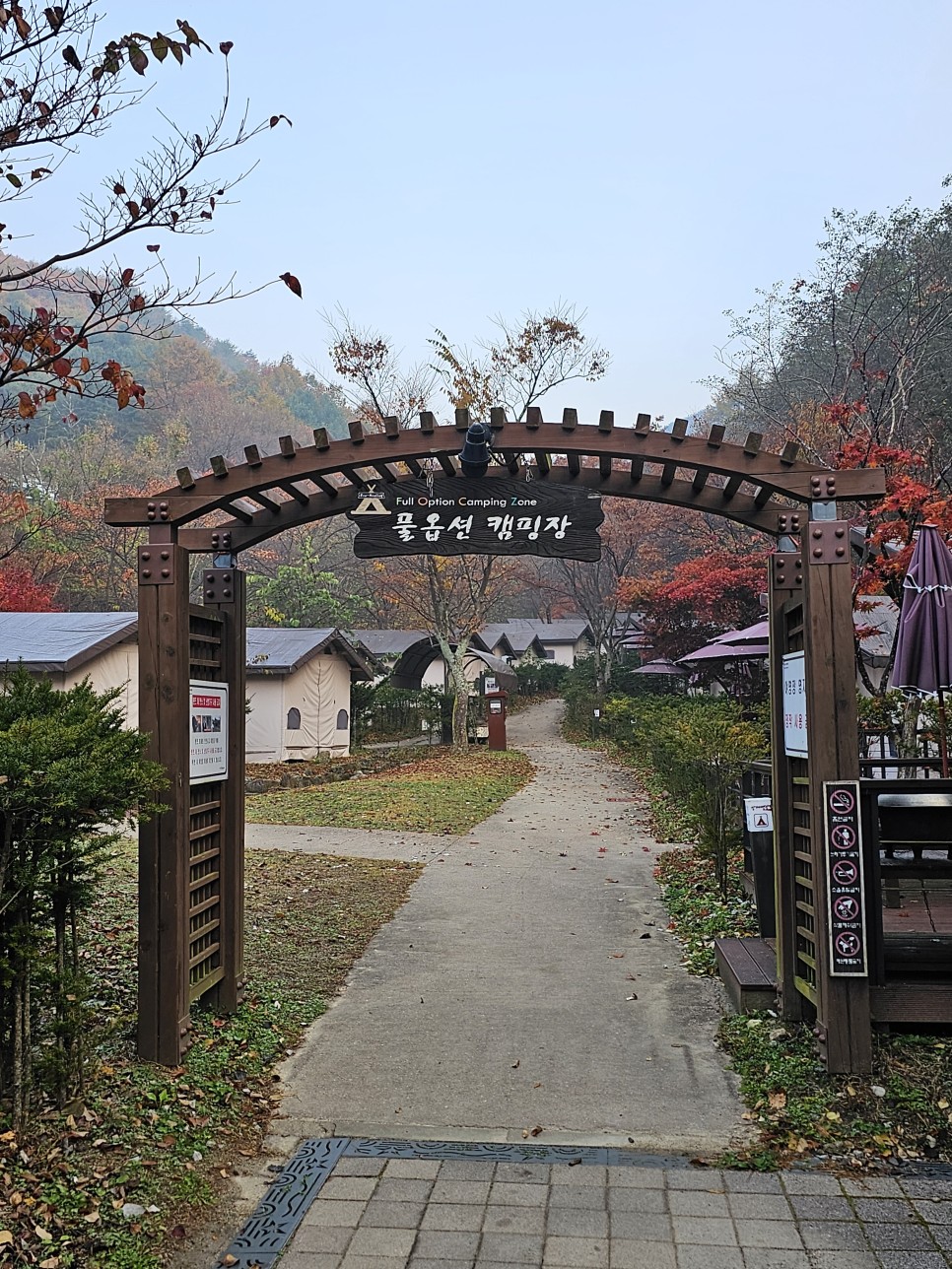 단풍 CAMPING 국립공원 캠핑장 소백산 삼가야영장