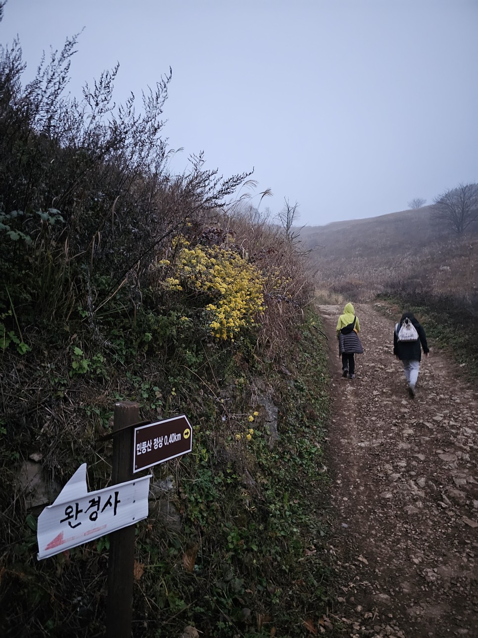 민둥산 최단 등산 가을 산행 3km 걷기 후기 초보 등산 코스 추천