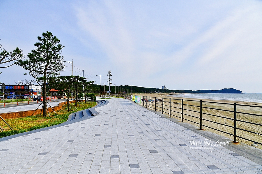 태안 가볼만한곳  안면도 백사장항 수산시장 삼봉 꽃지해수욕장 해안공원