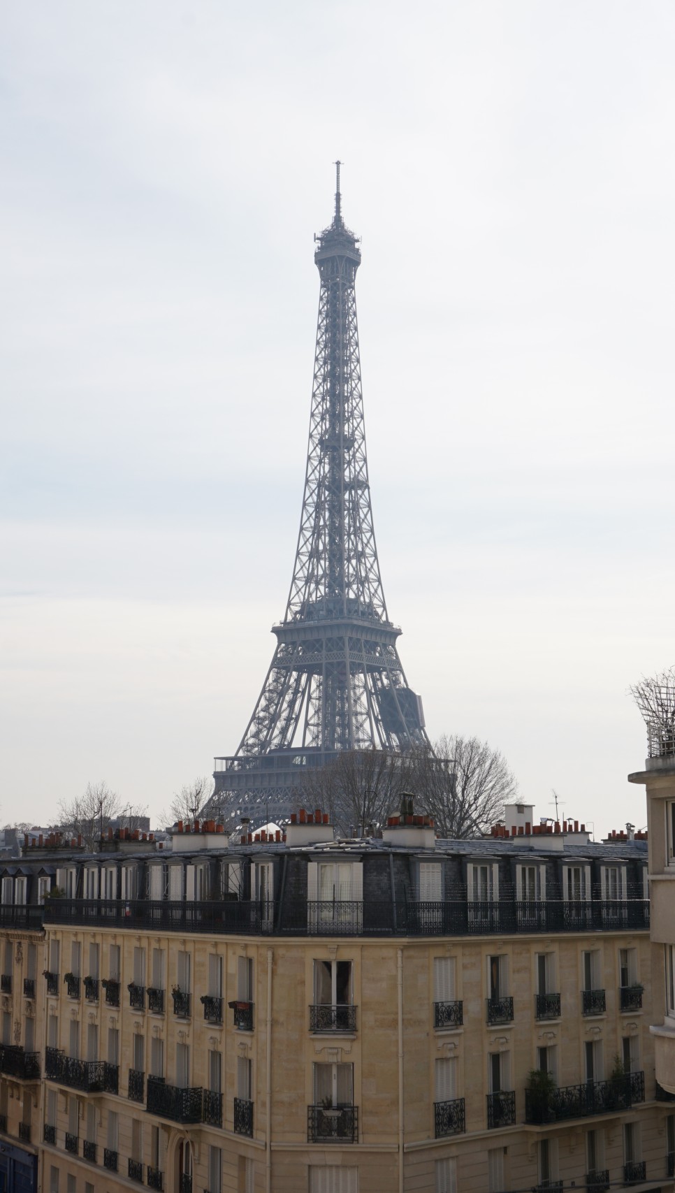 [파리 명소] 에펠탑 전망의 또 다른 명소, Palais de Tokyo 팔레 드 도쿄