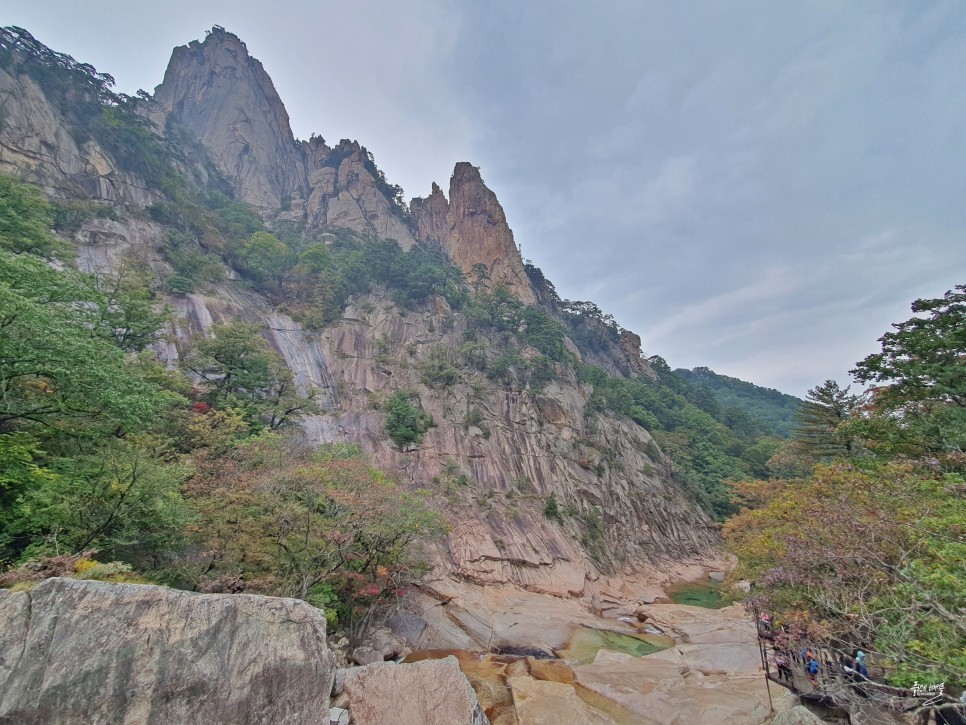 실시간 설악산 단풍 권금성 케이블카 비선대