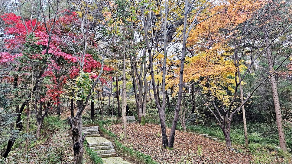 경기 광주 가볼만한곳 남한산성 순교성지 단풍으로 물든 가을 소경!